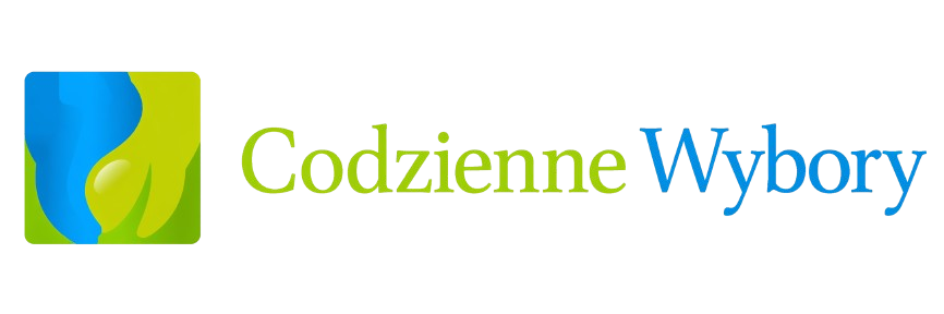Codzienne Wybory