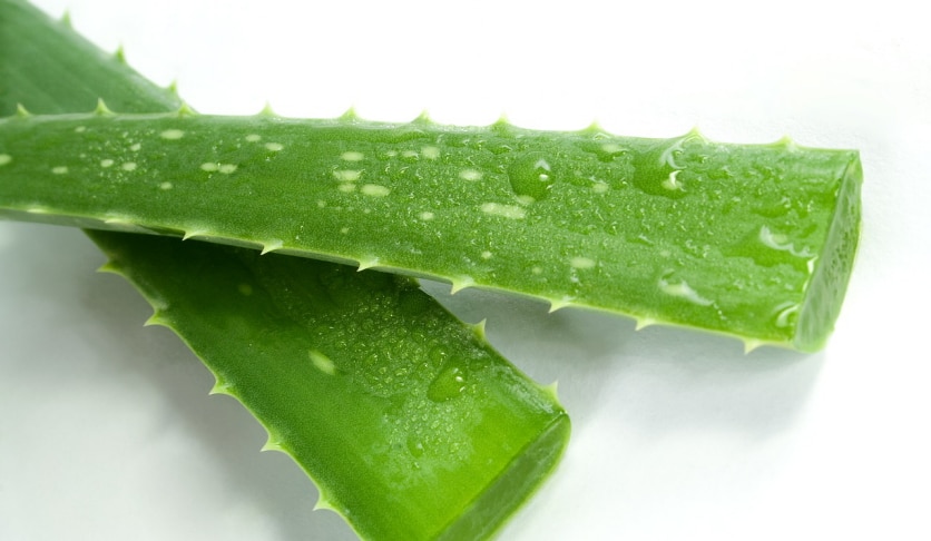 aloes z miąższem